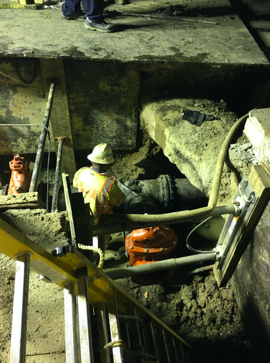 Potomac National Park, Washington DC